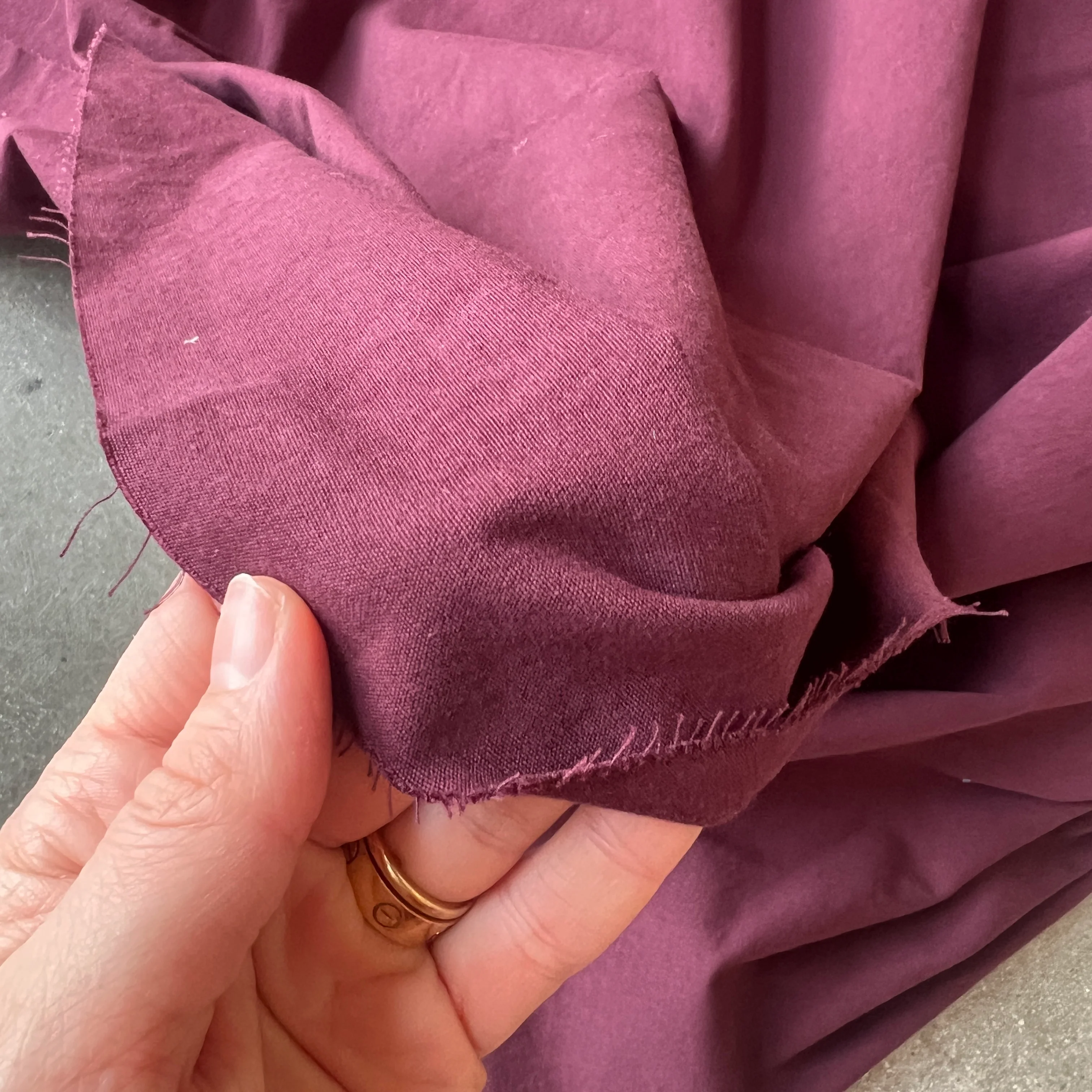 Porter Shiraz $22 per metre - Image 3